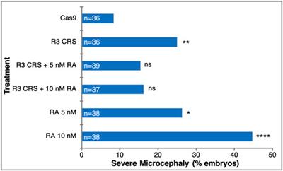 Reduced Retinoic Acid Signaling During Gastrulation Induces Developmental Microcephaly